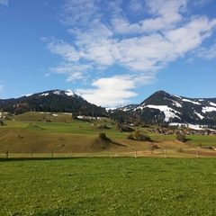 Hundetreffen 2014 im Allgäu (4)